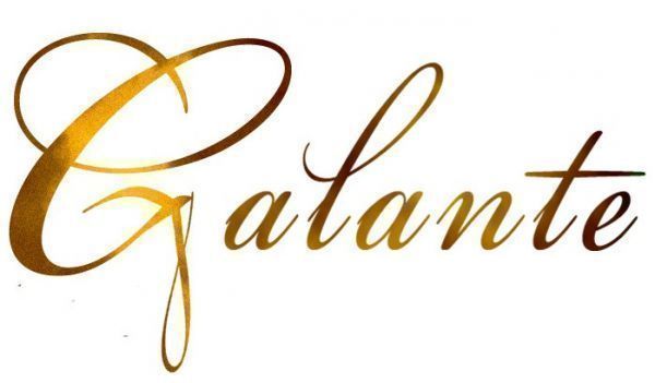 logo_image